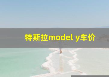 特斯拉model y车价